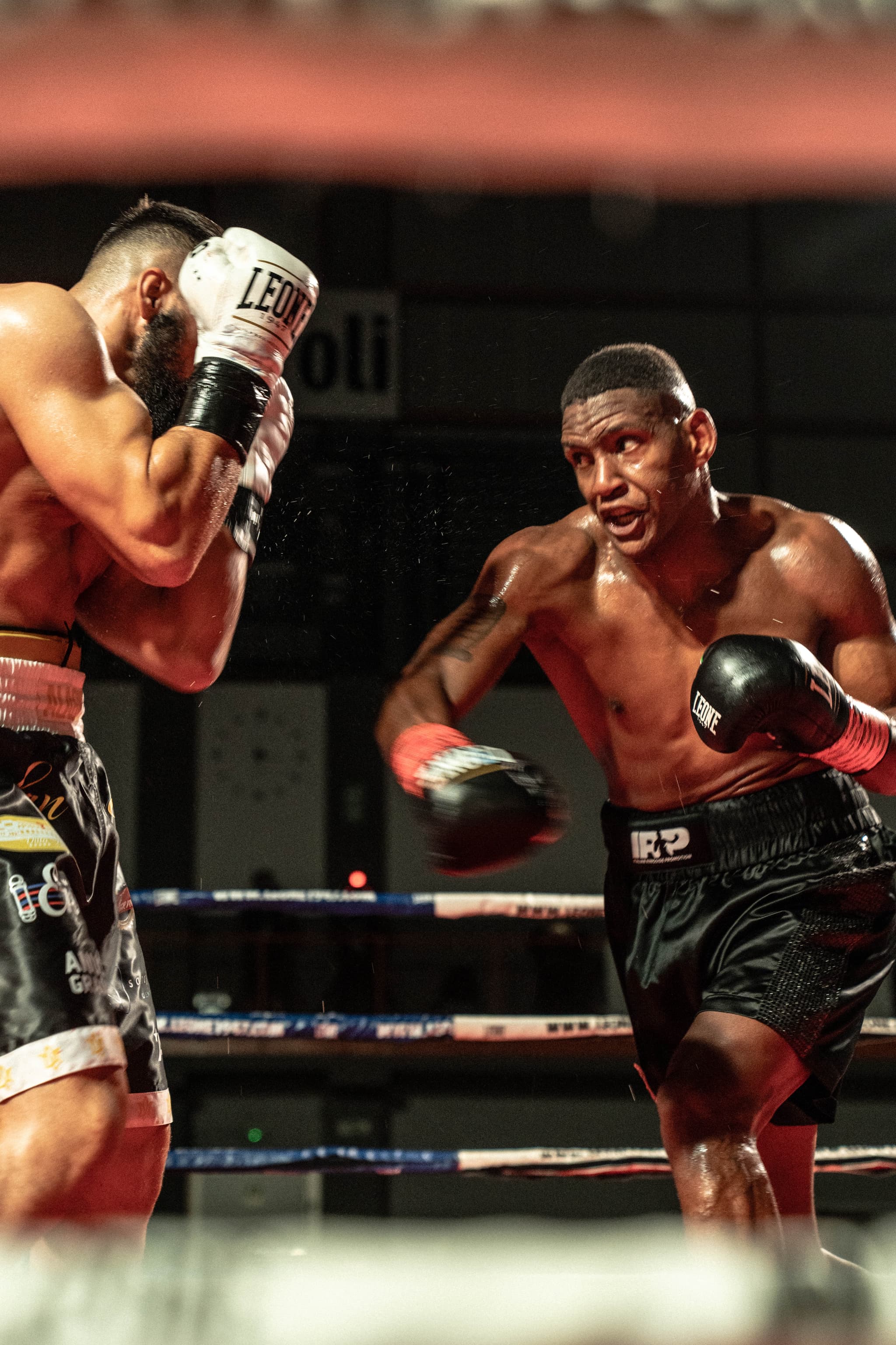 WBC MEDITERRANEO 2025